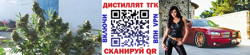 Дистиллят ТГК вейп с тгк  Купить где  Белёв 