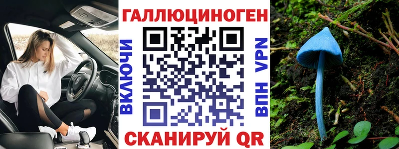 Купить где  Белёв  Галлюциногенные грибы GOLDEN TEACHER 